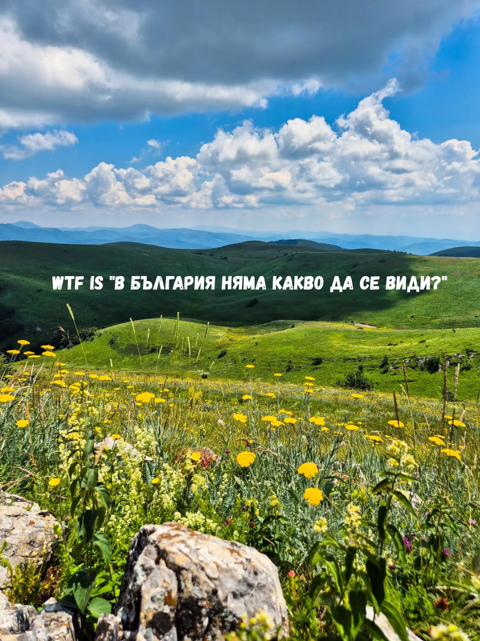 @Zornitsa Ivanova