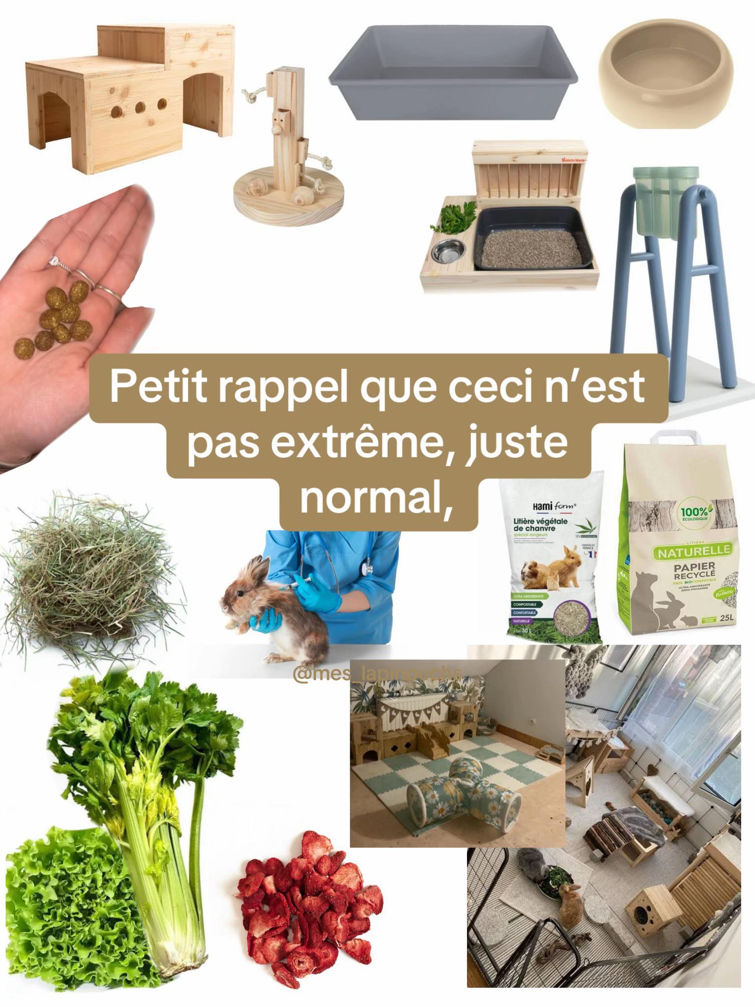 @Mes lapinouchs 🐰