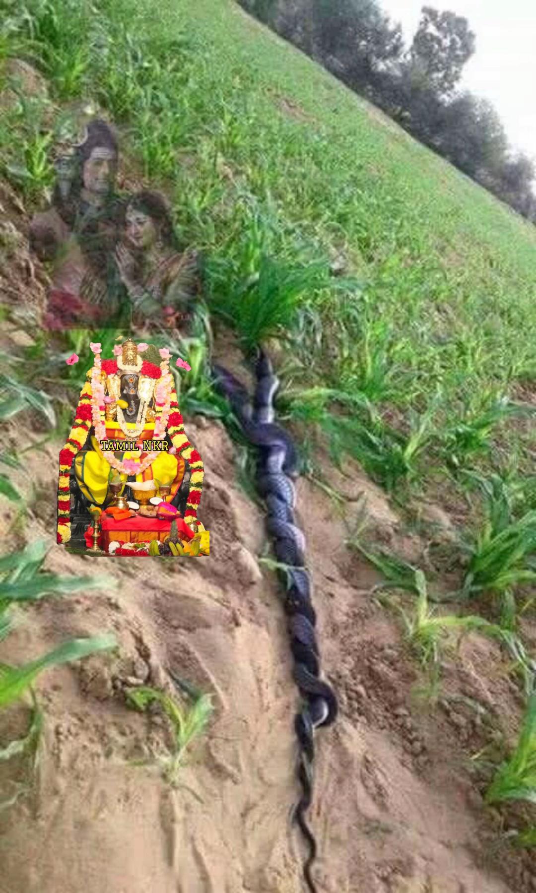 @குமார் தமிழ் Kumar Tamil