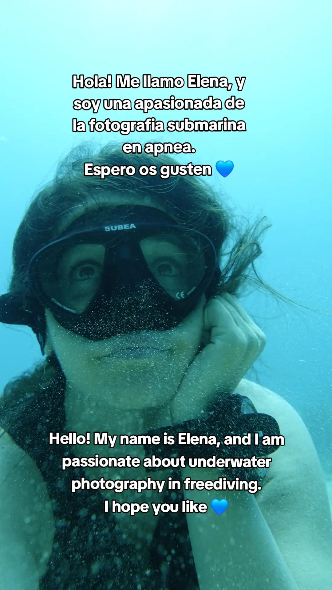 @Elenilla.p