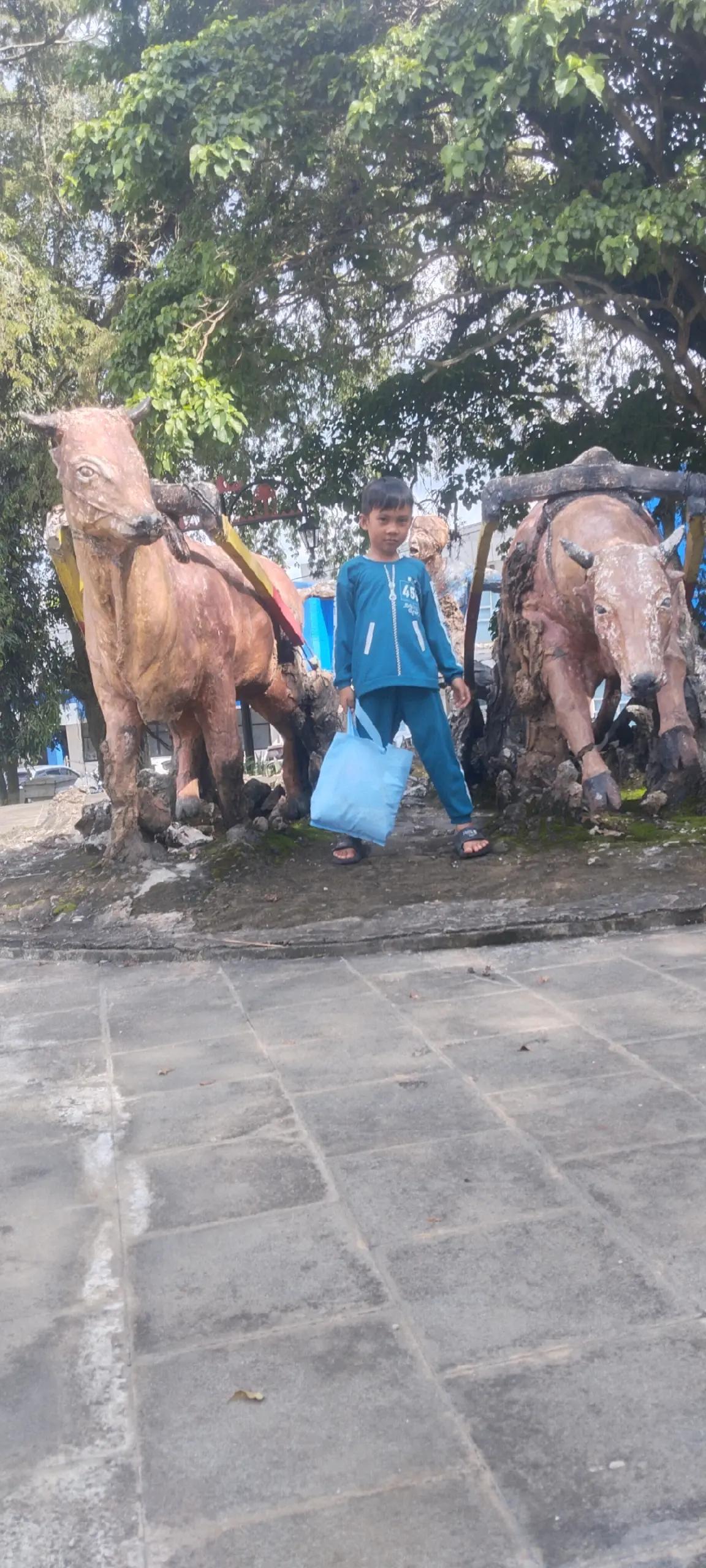 @fauziafadhilviolasyifa