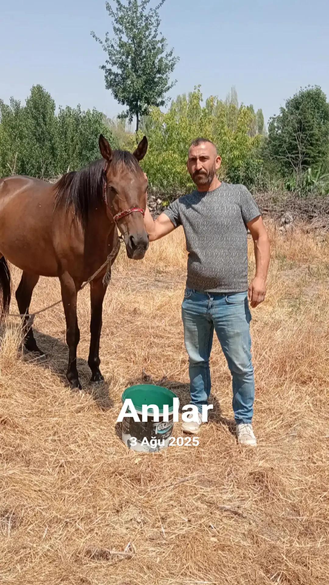 @merhaba g&uuml;zel insanlar