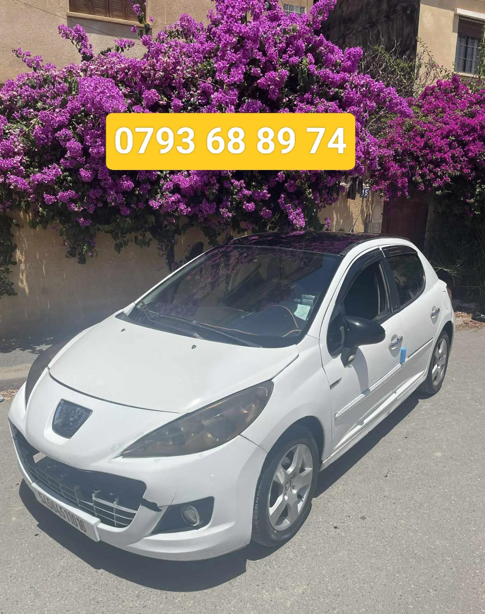 @H&atilde;mz&atilde; gti