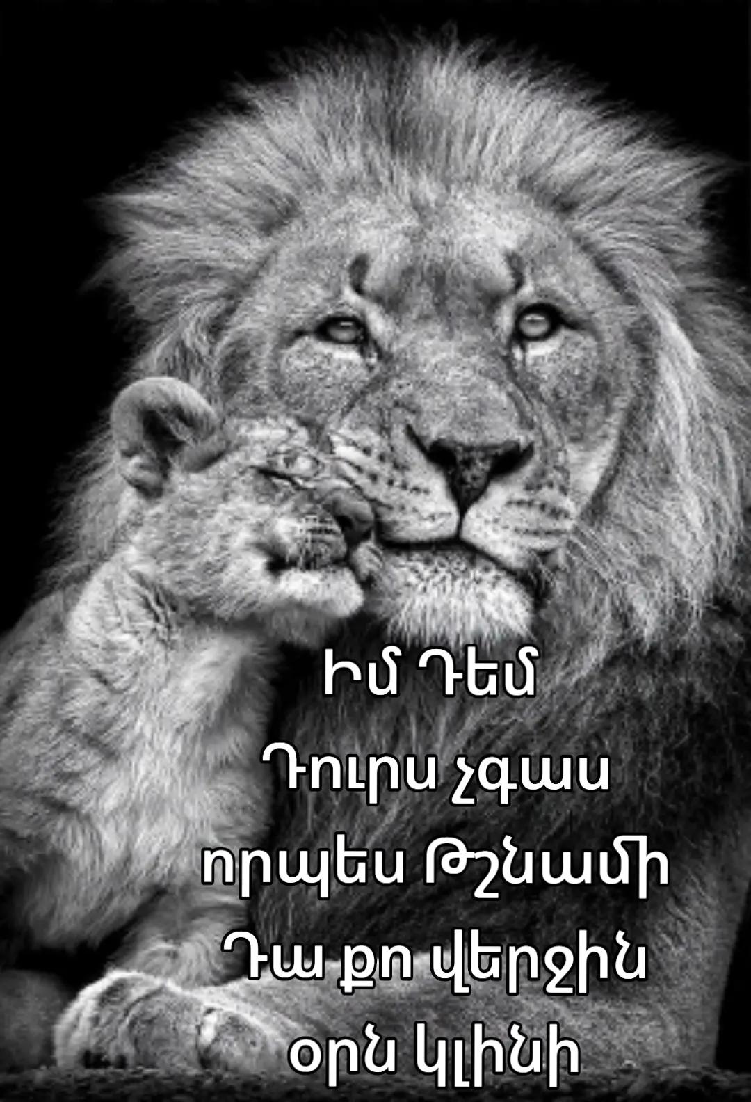 @✴️Կայծ Էջմիածին✴️