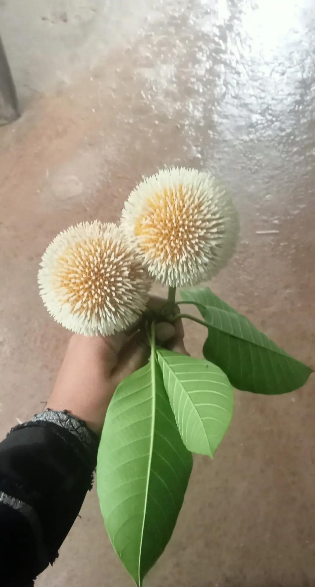 @🔥মায়াবী মন🔥