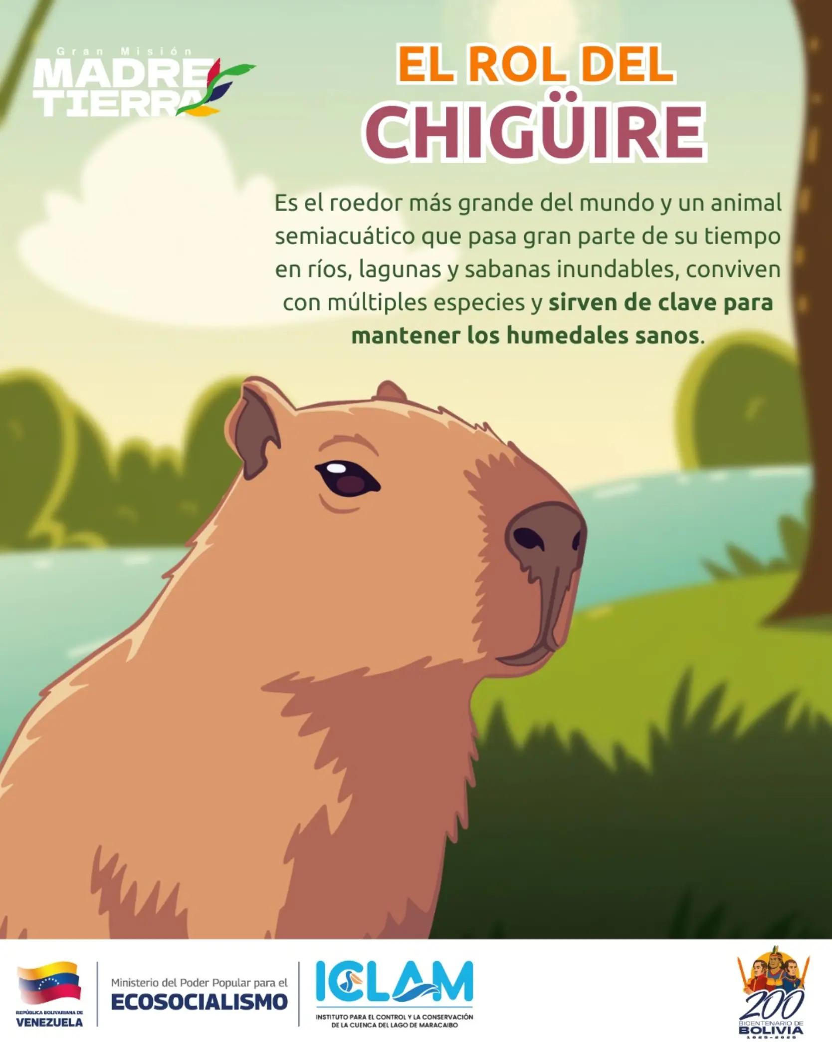 @iclam_ve