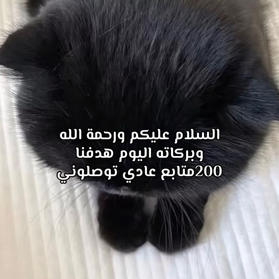 @🩸𝓈𝒽𝒶𝒹𝑒𝓃🩸