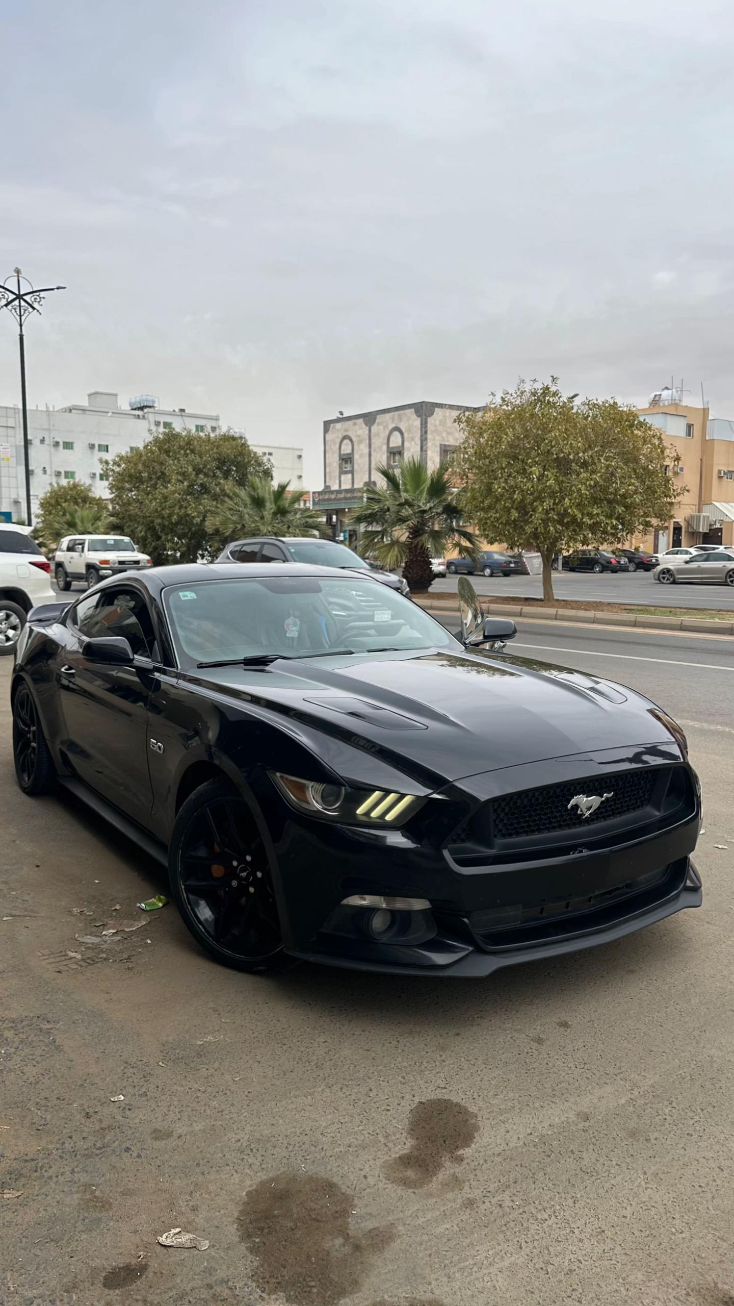 @مجيد.