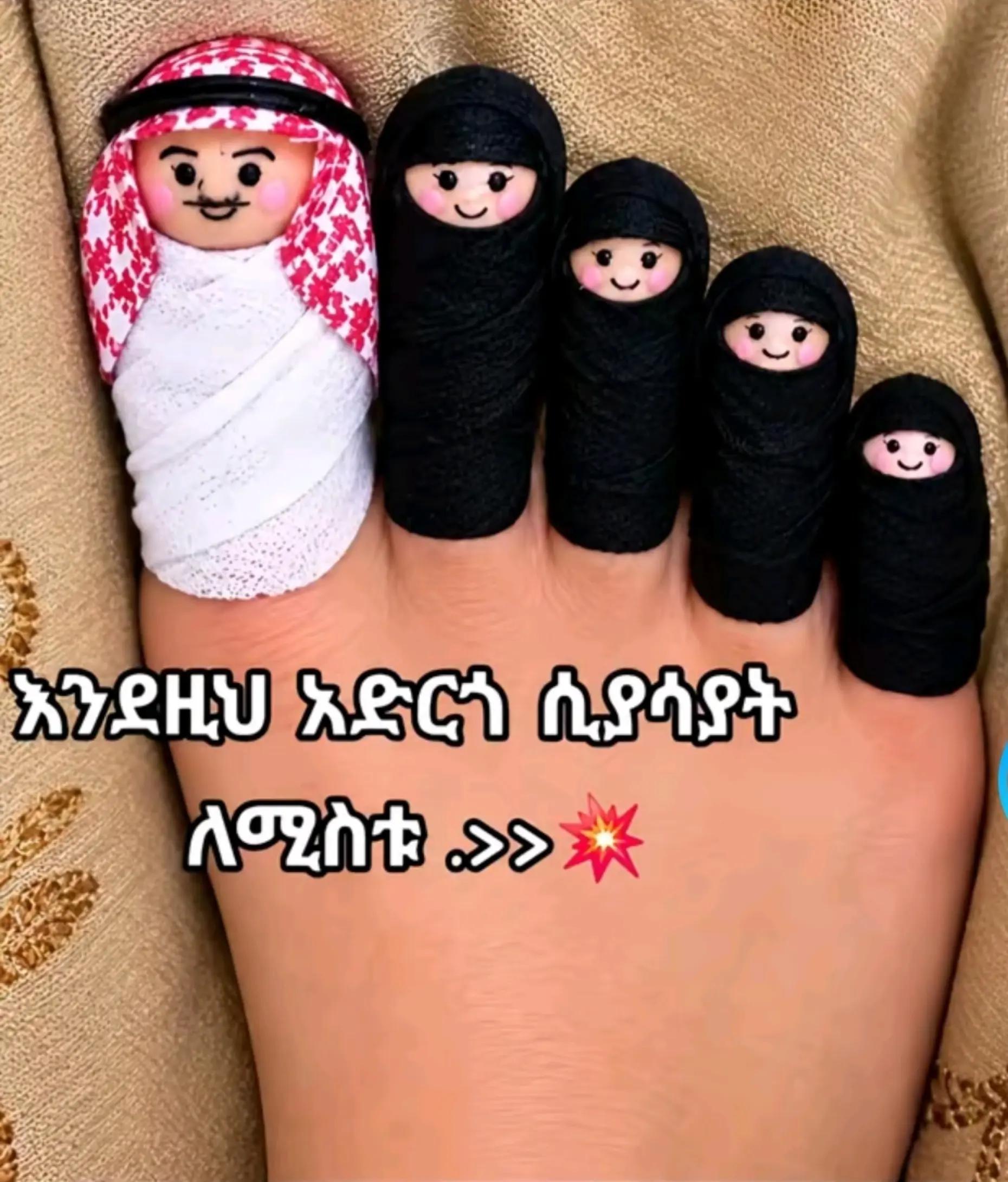 @โโคโโฉ ๐ญ
