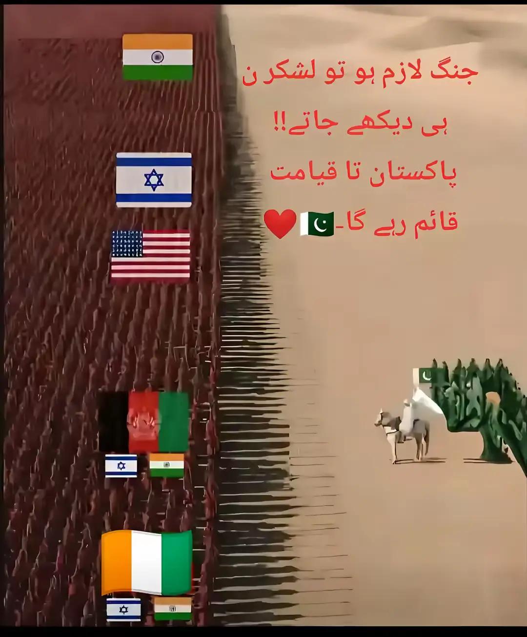 @꧁𝓐𝓶𝓲𝓻 𝓚𝓲𝓷𝓰 👑꧂
