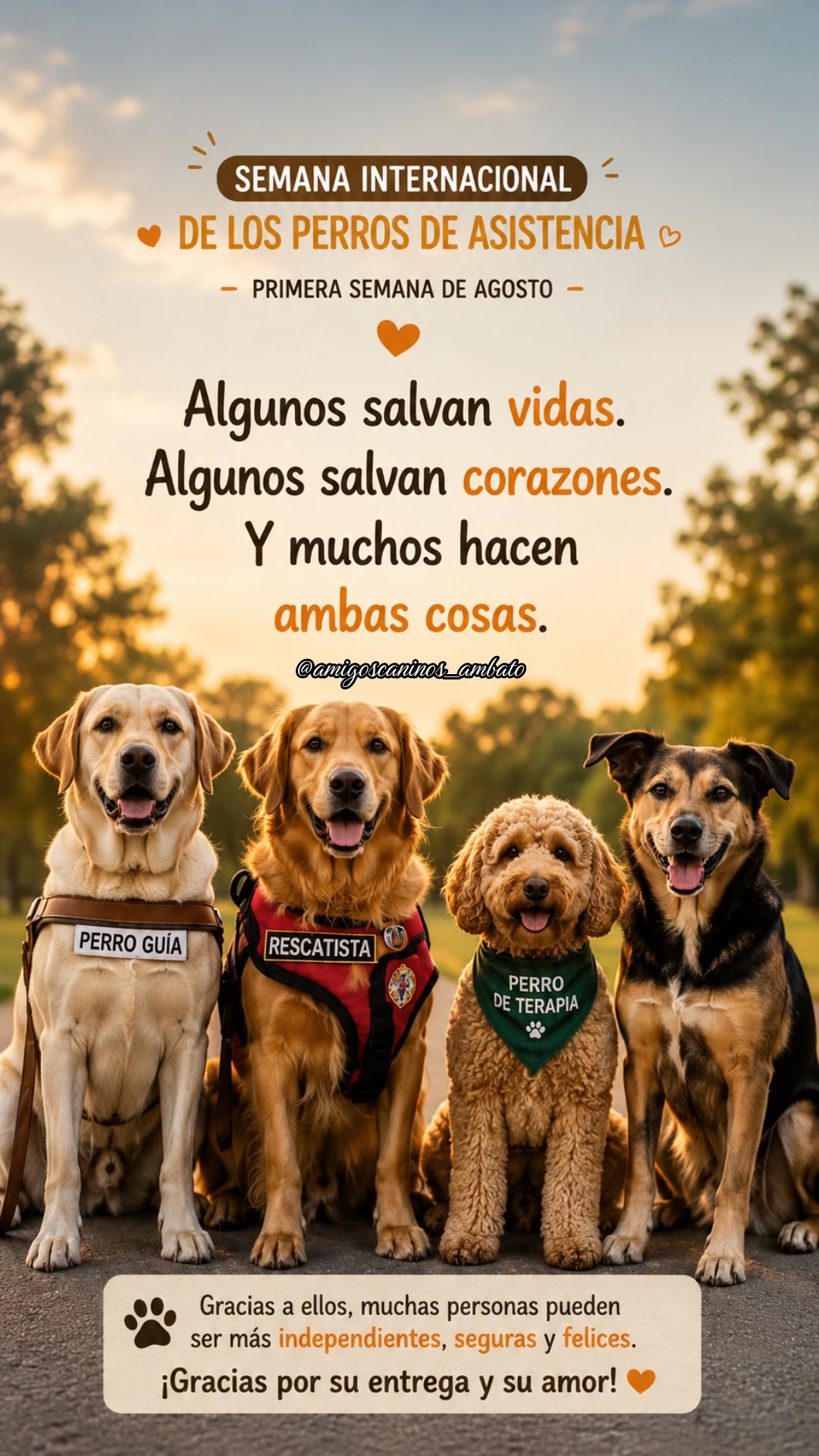 @Amigoscaninos_Ambato
