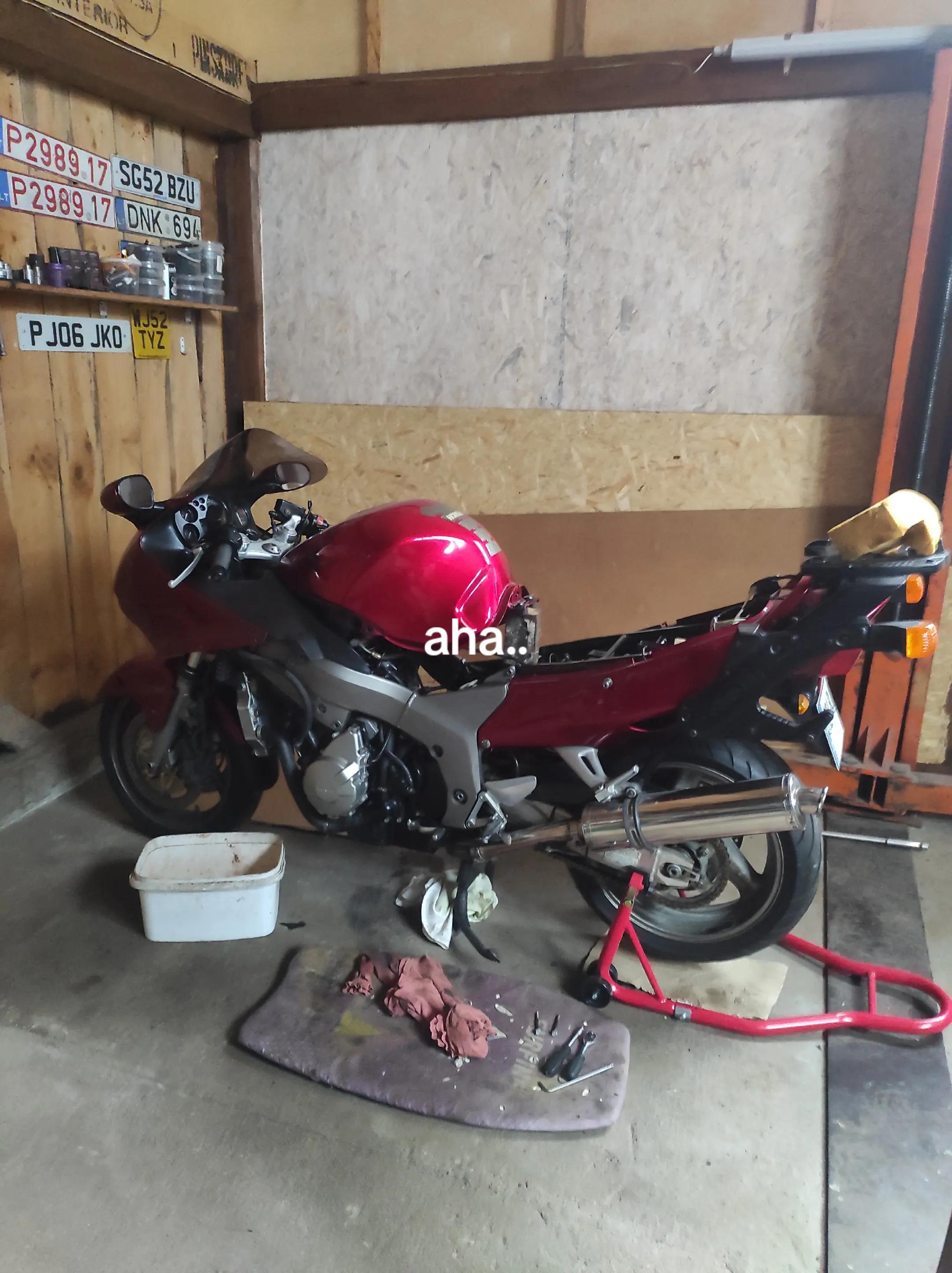 @bruklenbaunc008