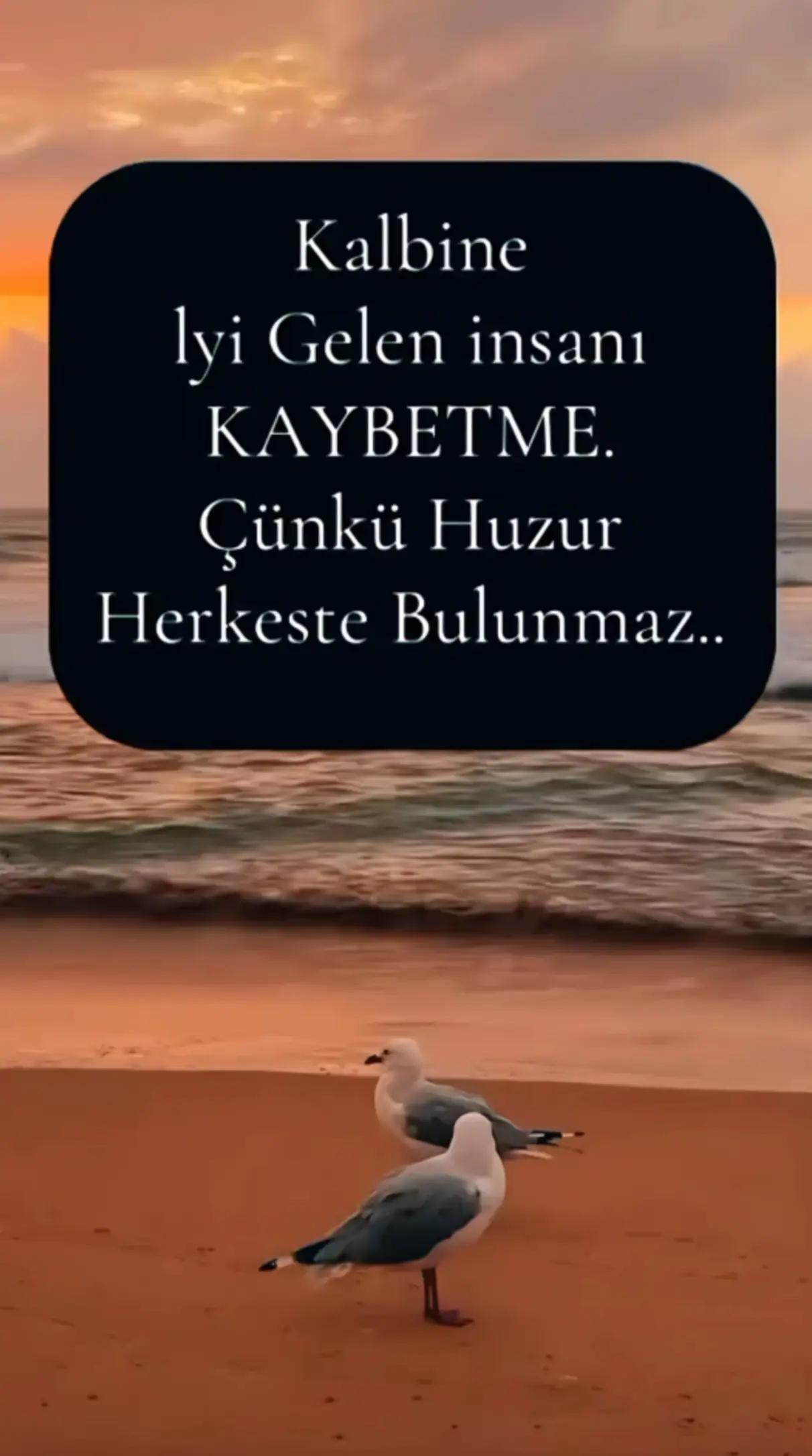@Umut Şen
