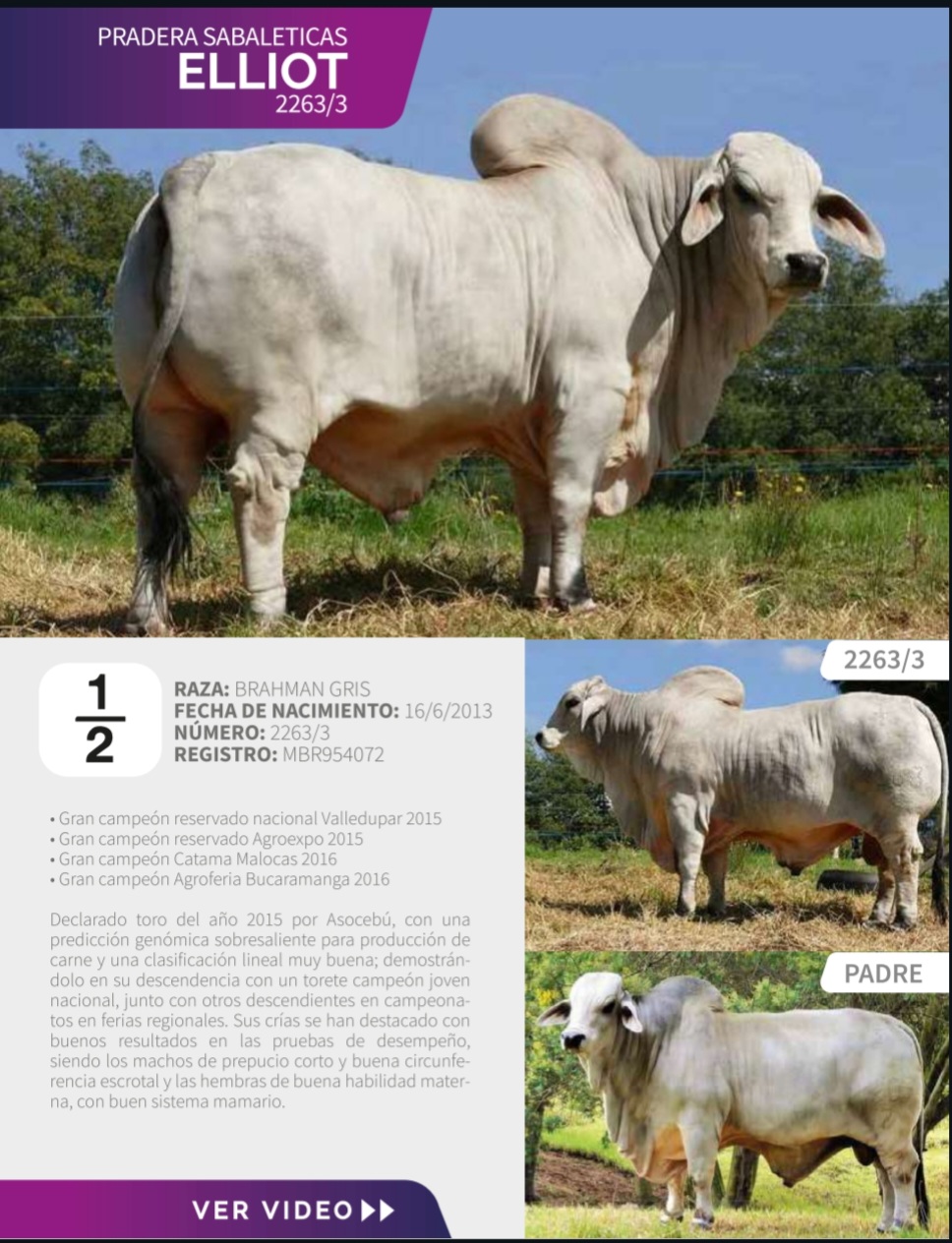 @SEMEX