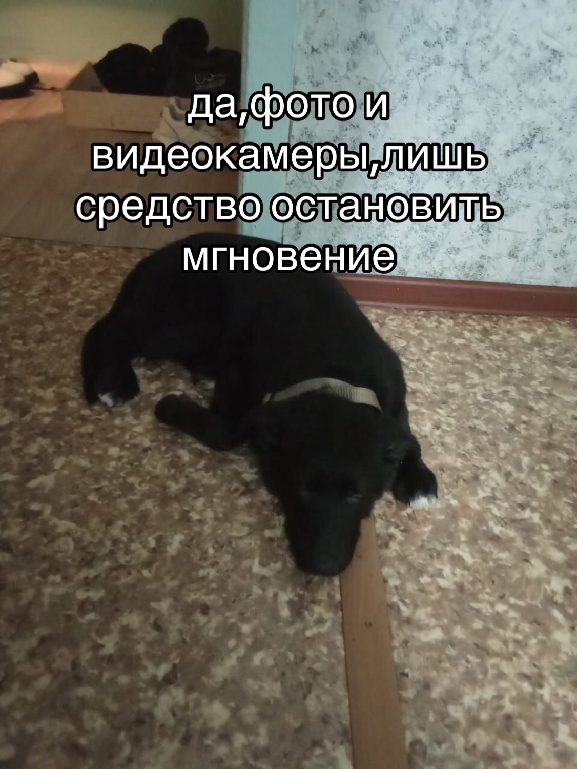 @метиска в раю