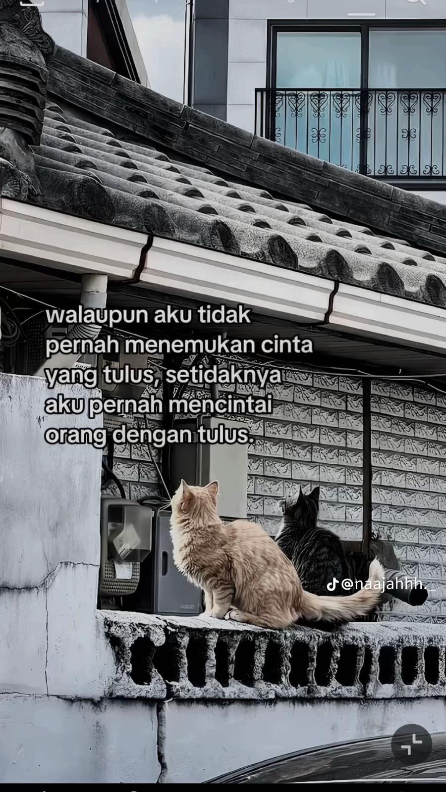 @ini syntaa