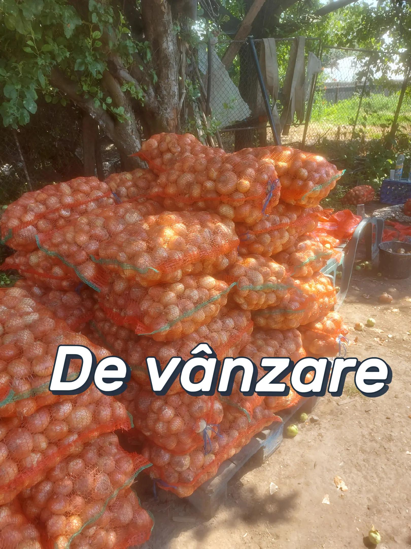 @Mary
