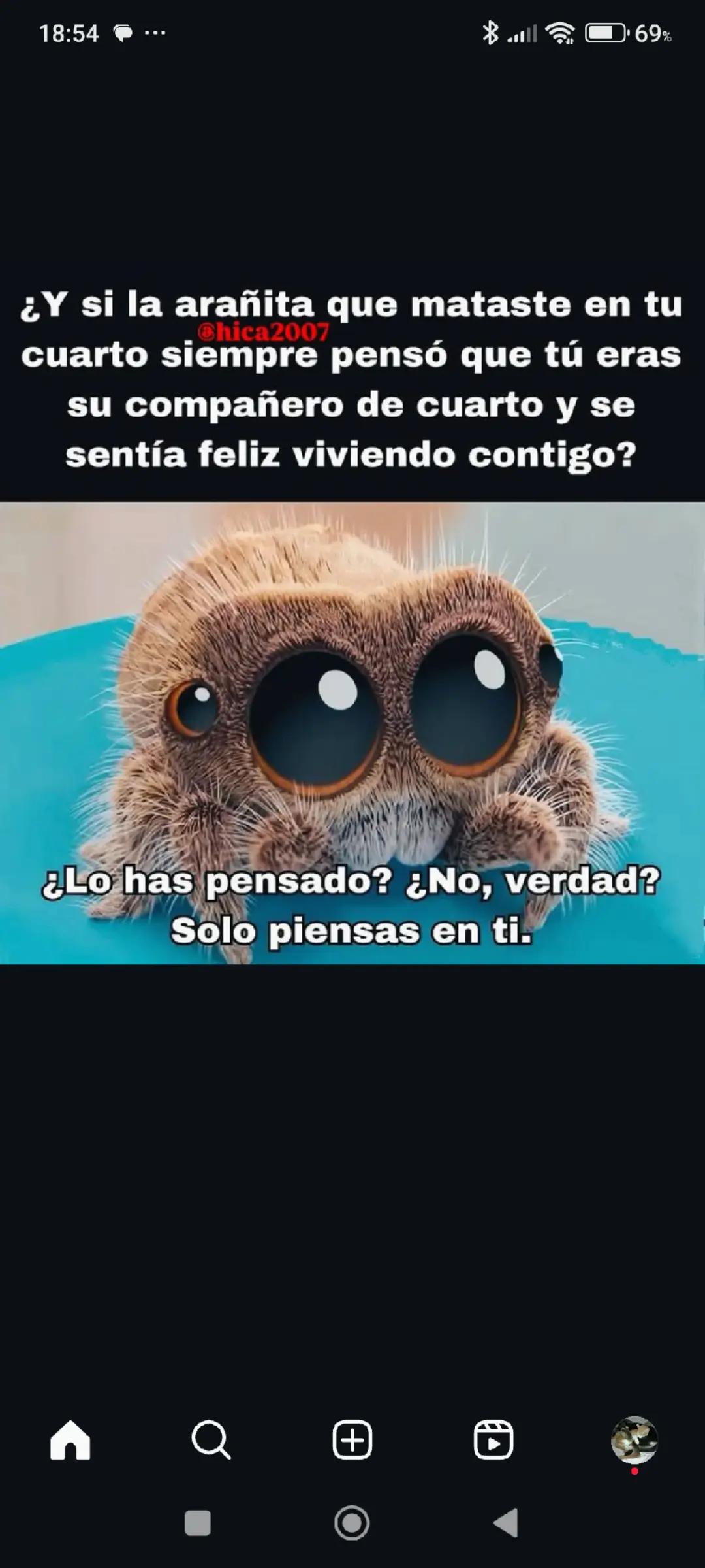 @Anahernansaiz&disca&cat