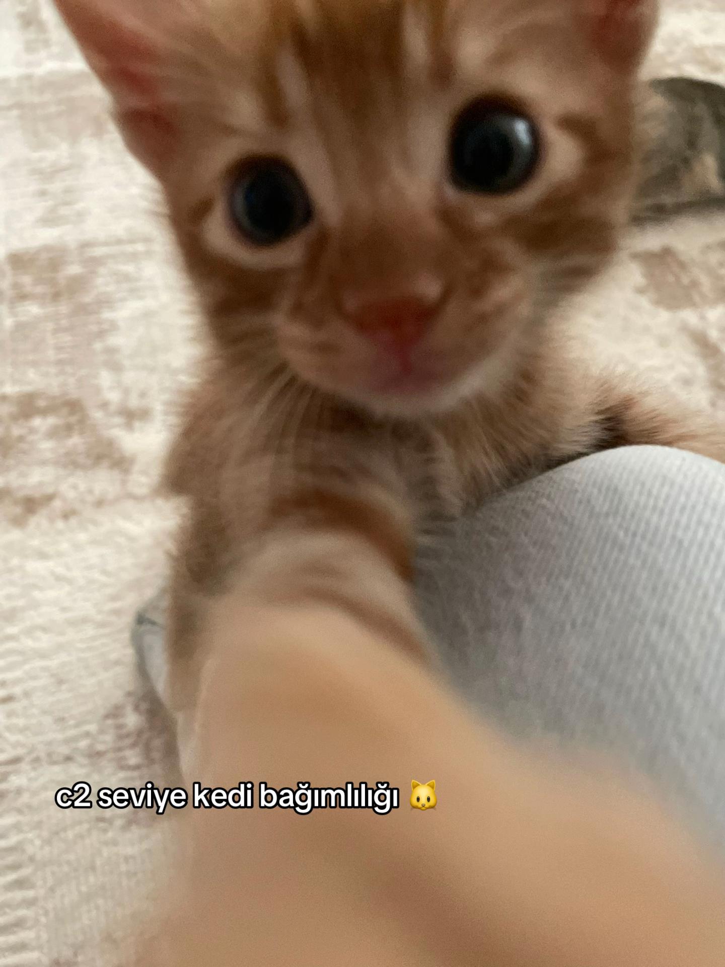 @mineakayy