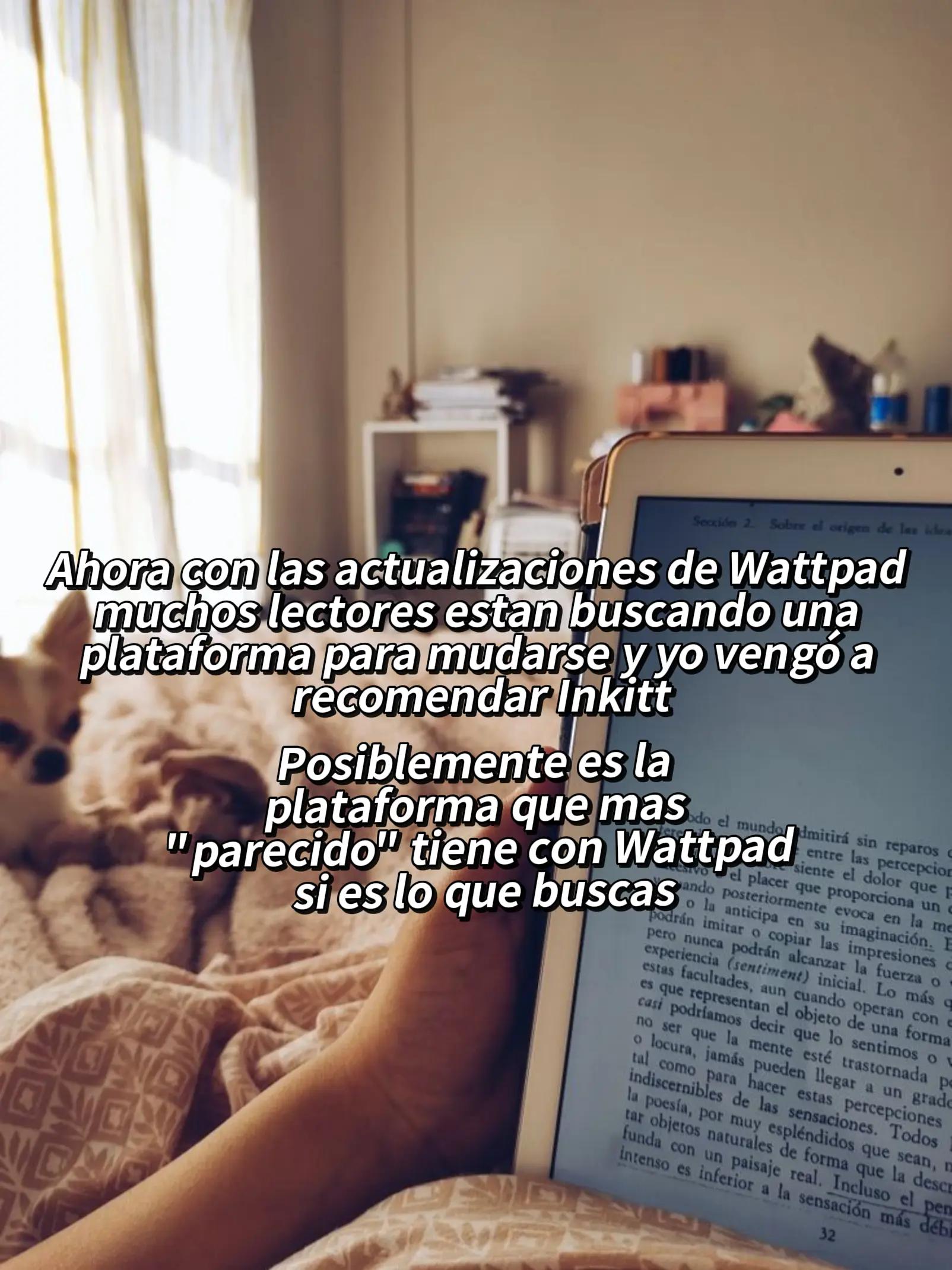 @Soy un gato escritor