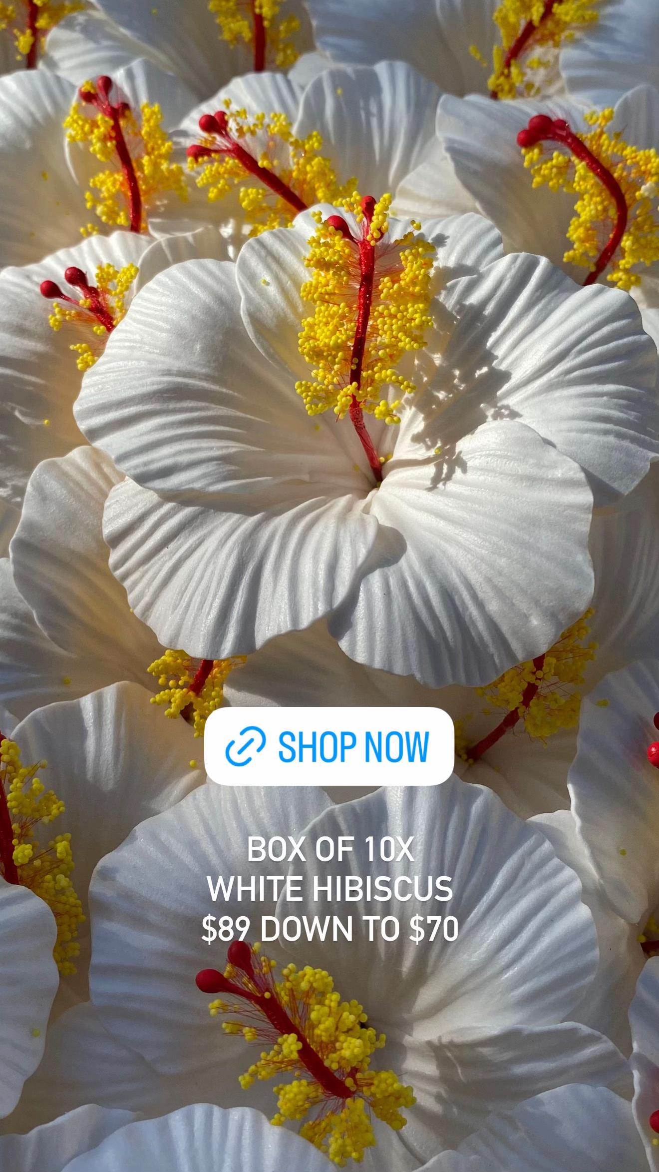 @Island Aesthetica 🌺 Pasifika