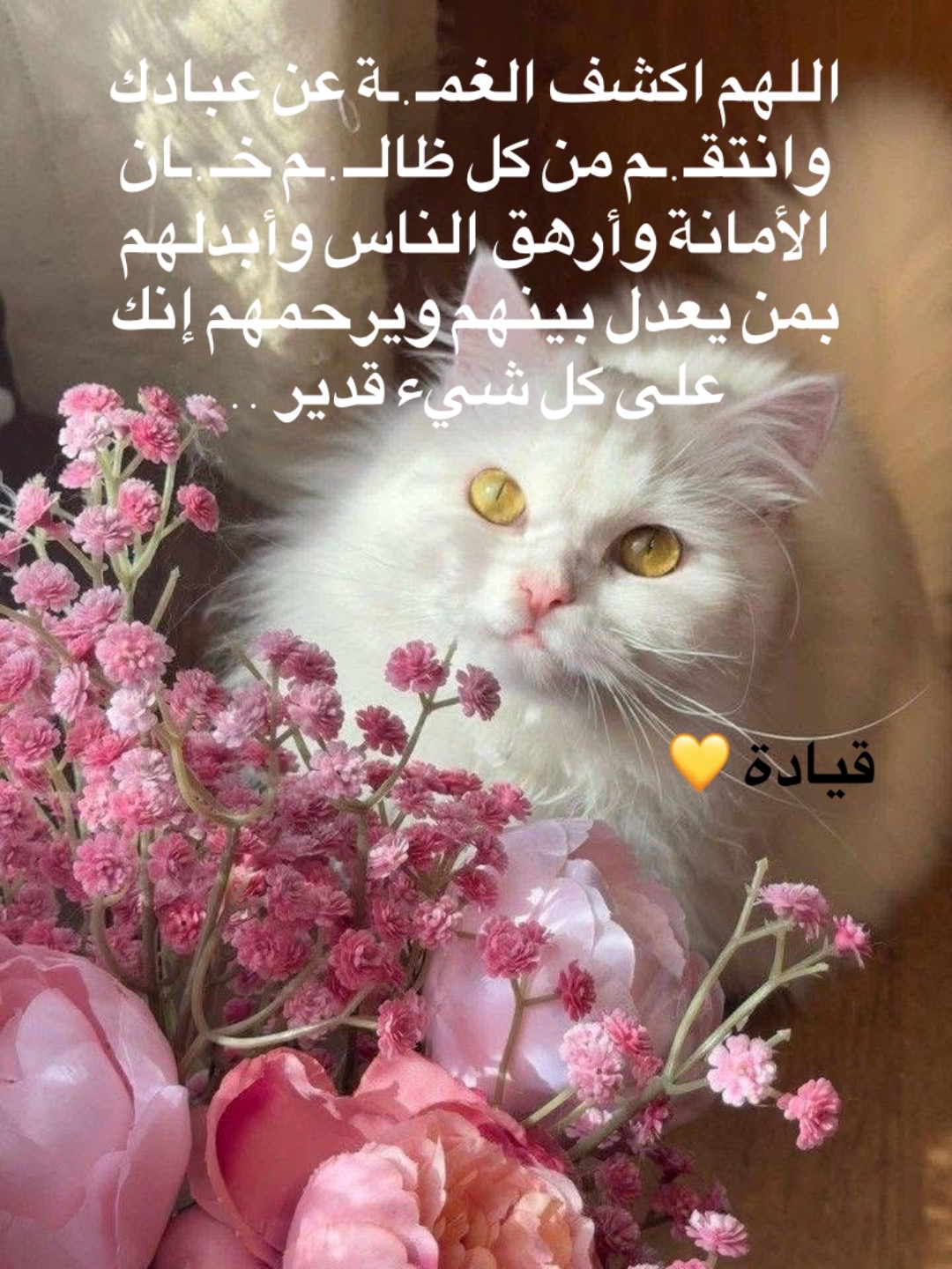 @👌🏻قيادة ام القيادات 🩵🩵