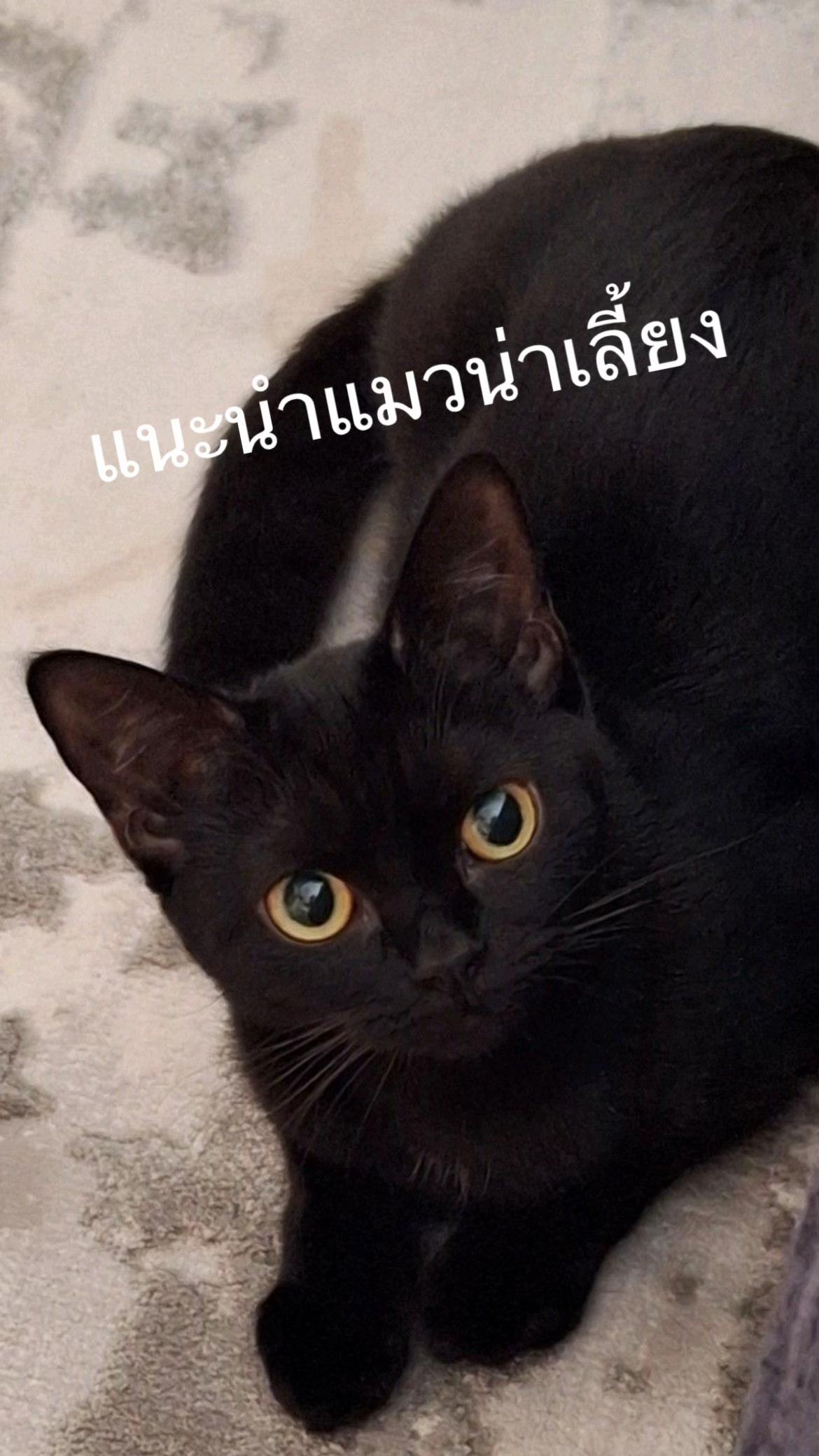 @ดูคลิปชิลชิล