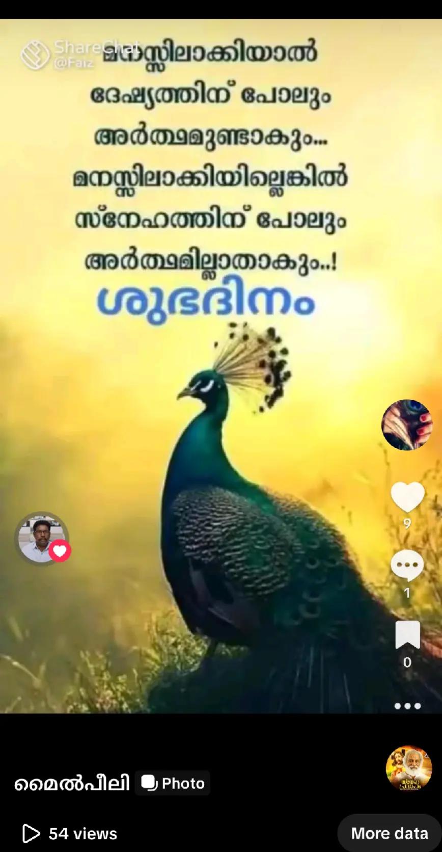 @kanjanamalla