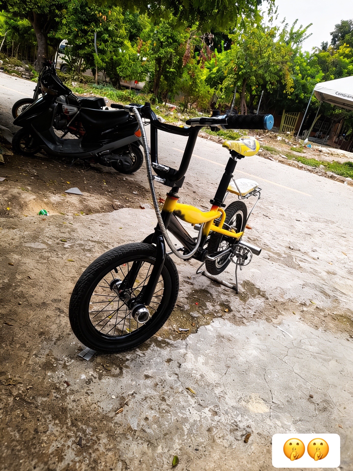 @Rolfhi☠️R1