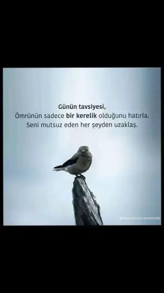@Makbule Çoşkun