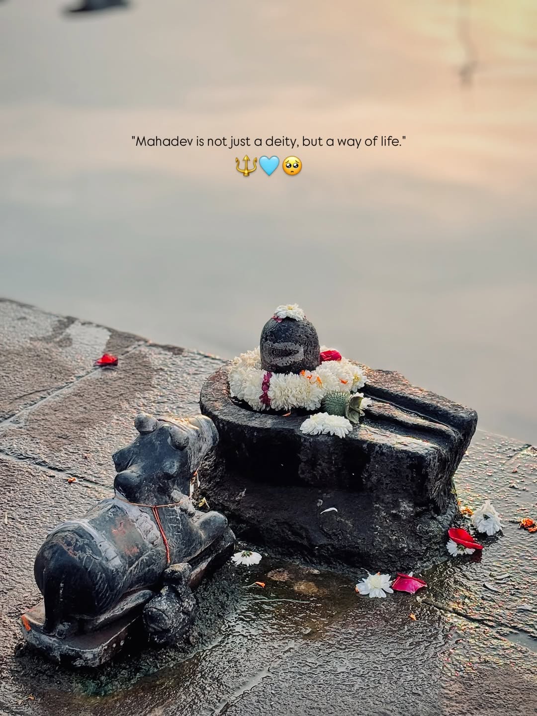 @RADHE🦚KRISHNA🦚
