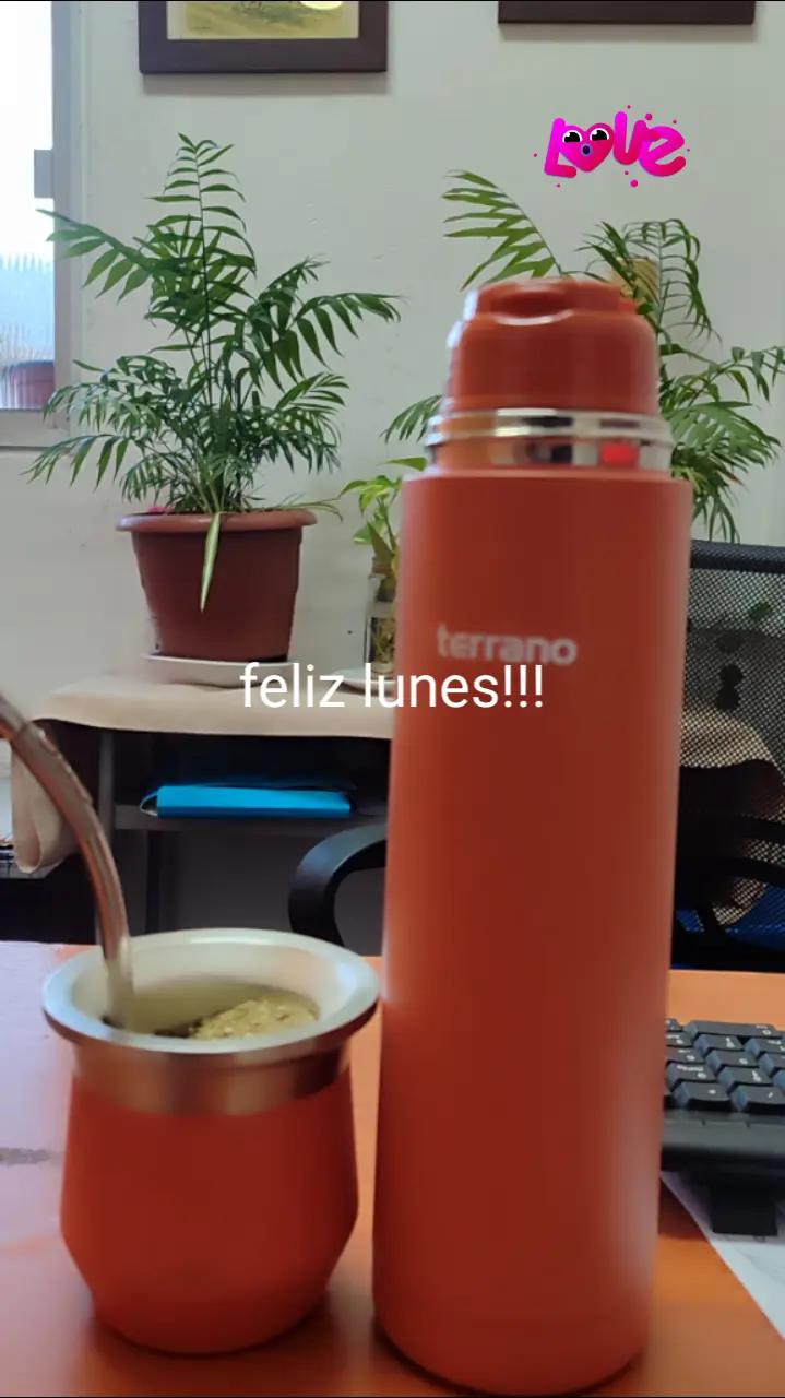 @soniabaez307