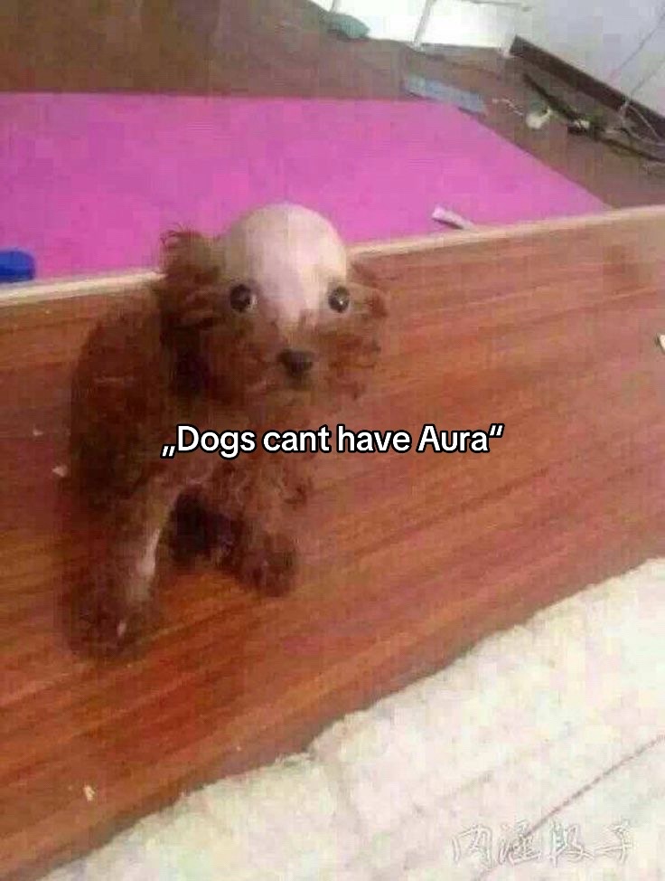 @ＡＫＡＲＵＩ