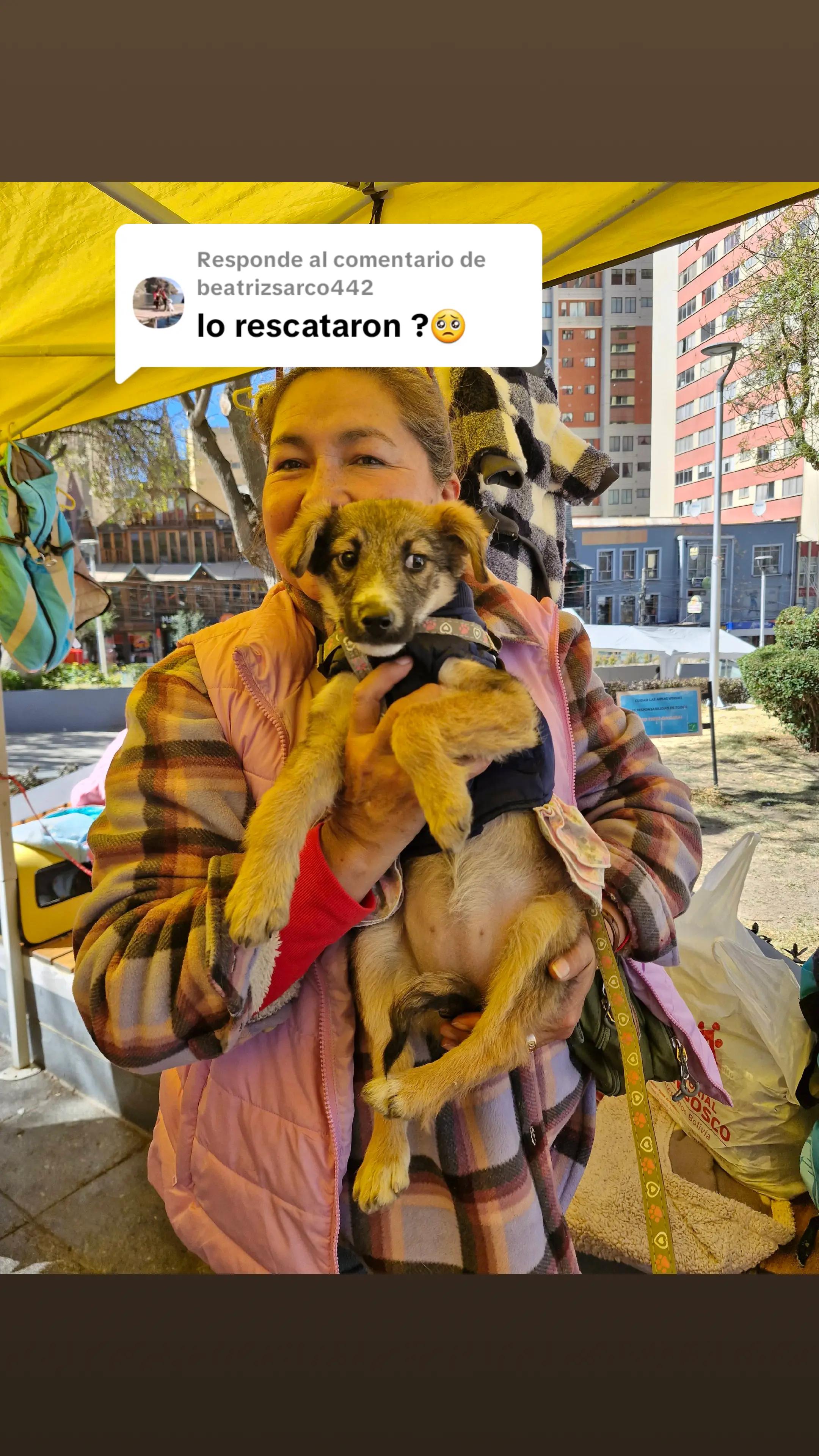 @Fundacion Huellitas