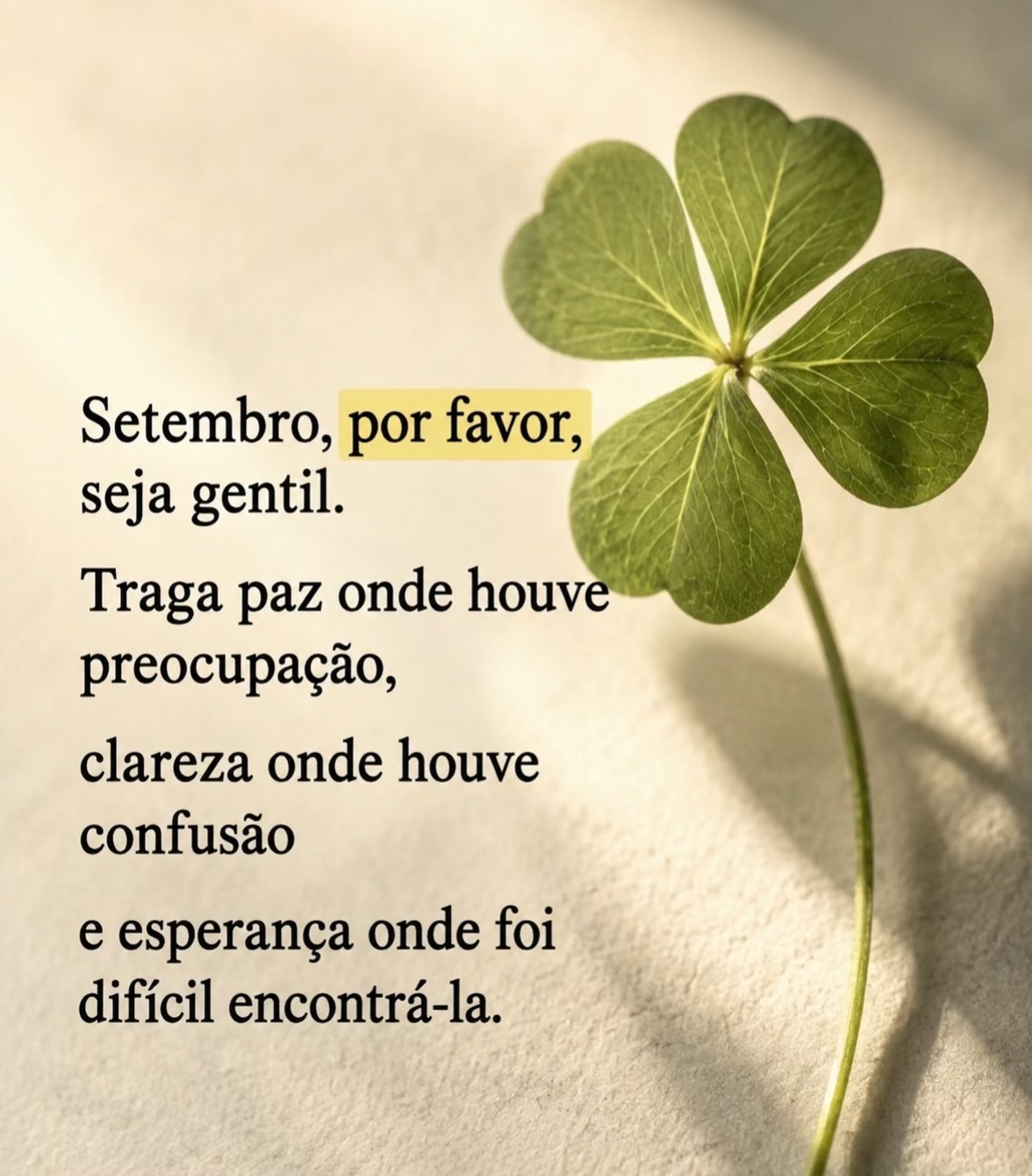 @souzamar