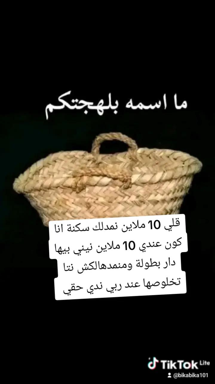 @عاشق لقطط😹
