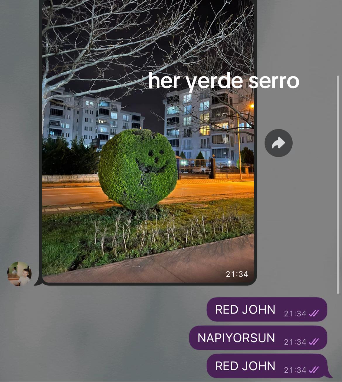 @hazal cesmebasi