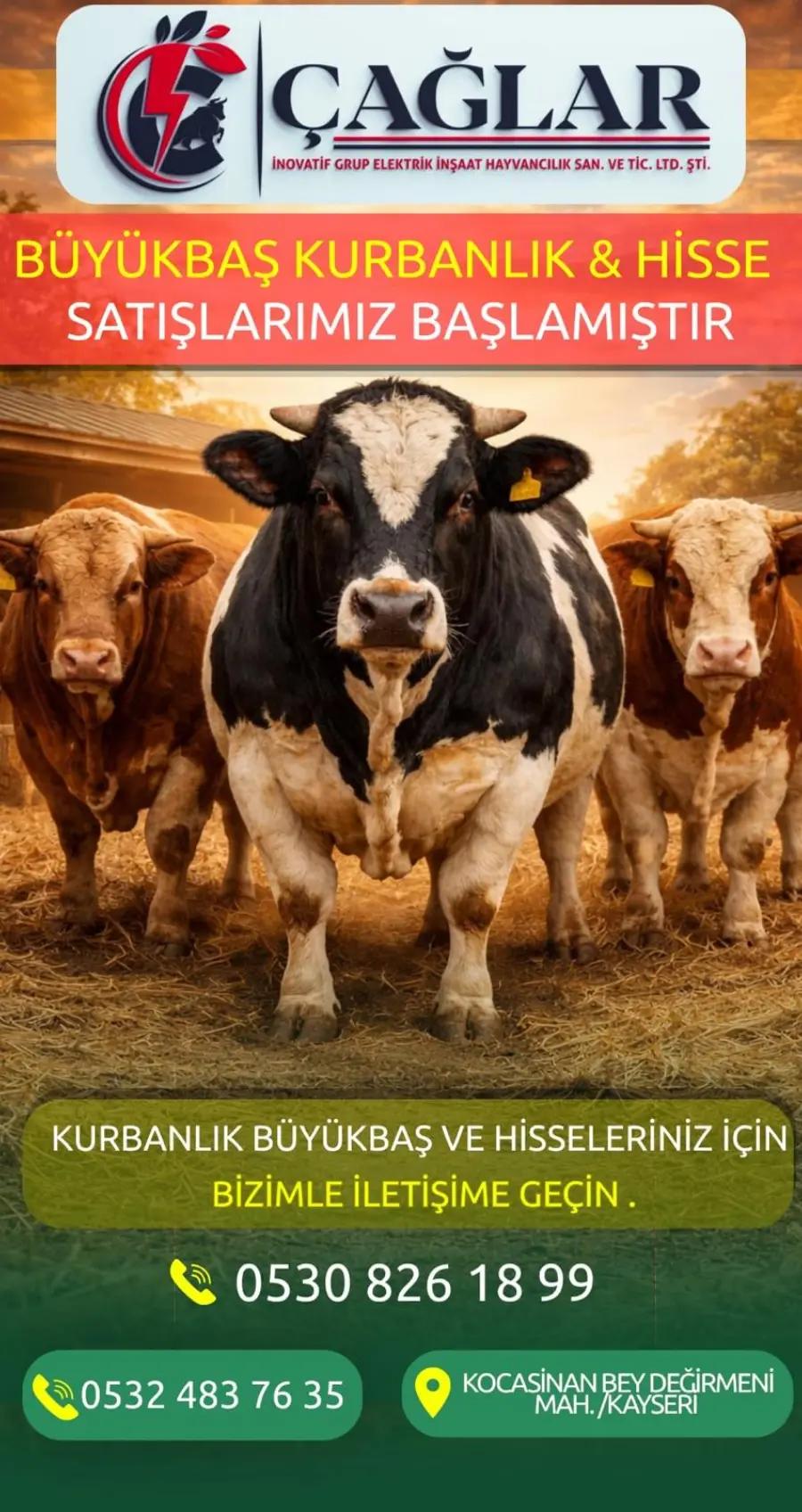 @Ali Çağlar