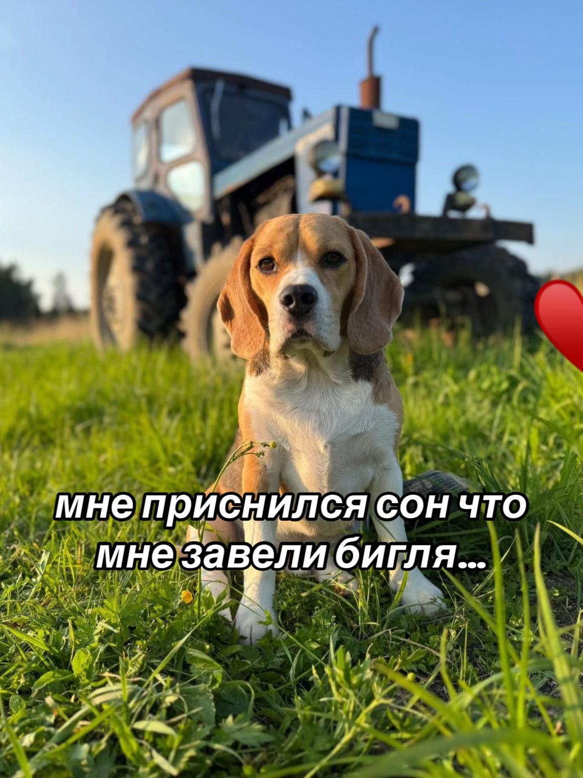 @𐔤ɯᥲᥴⲧыύ ⲙᥲρ᥈υ🥏