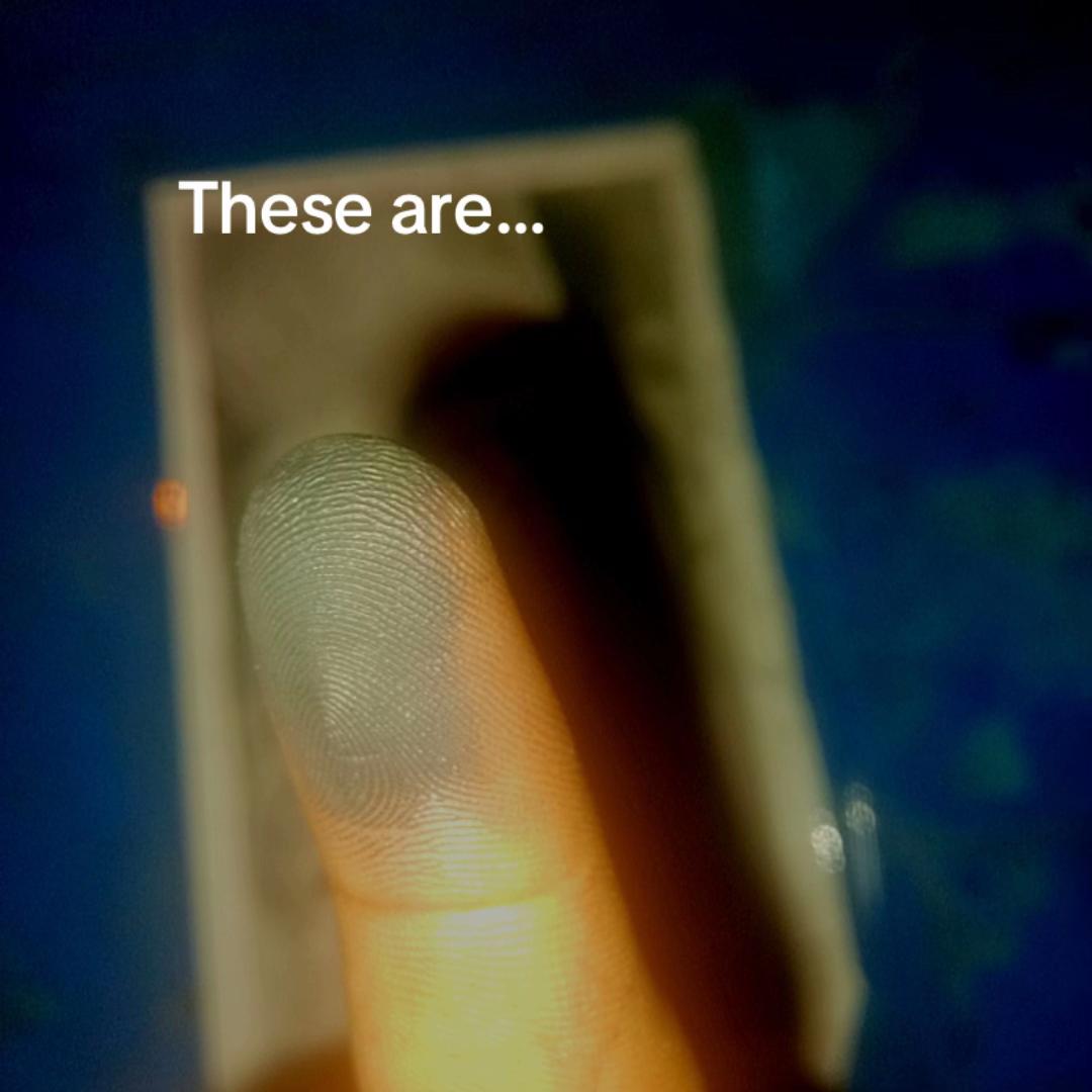 @rawgraphite