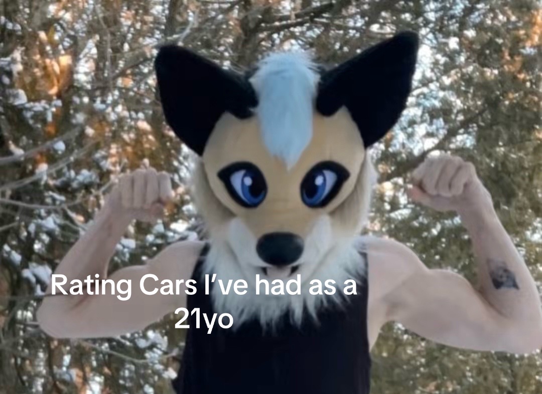 @Nixkat 🦊 🔜??