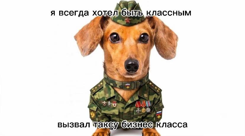 @Ромаха
