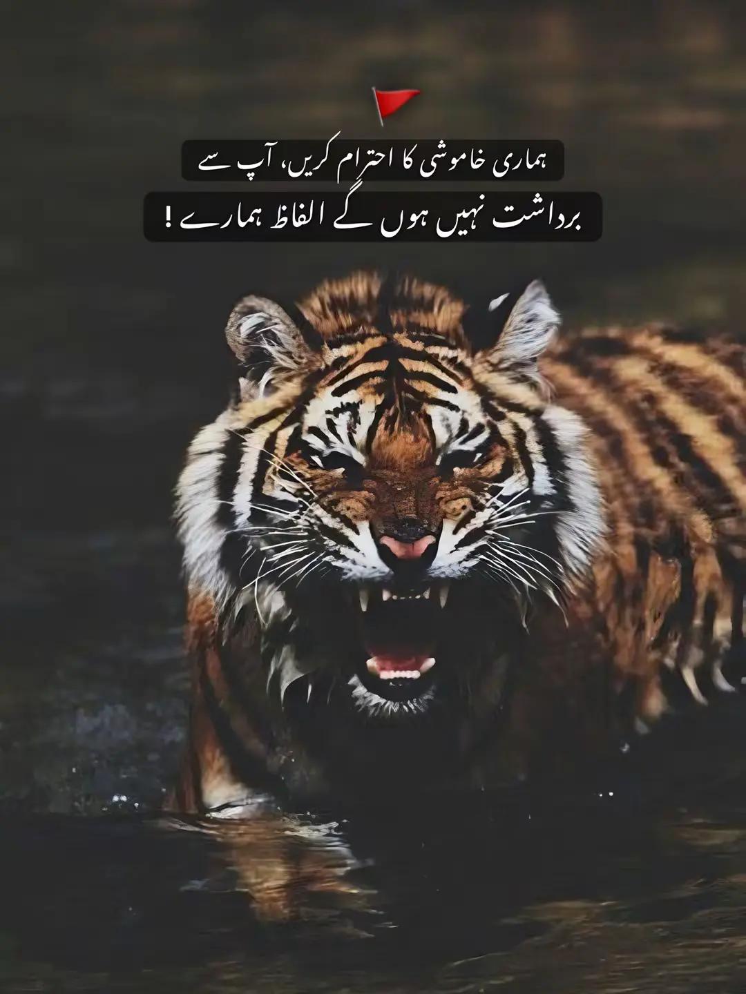 @👑RAJPOOT🦅🔥💀