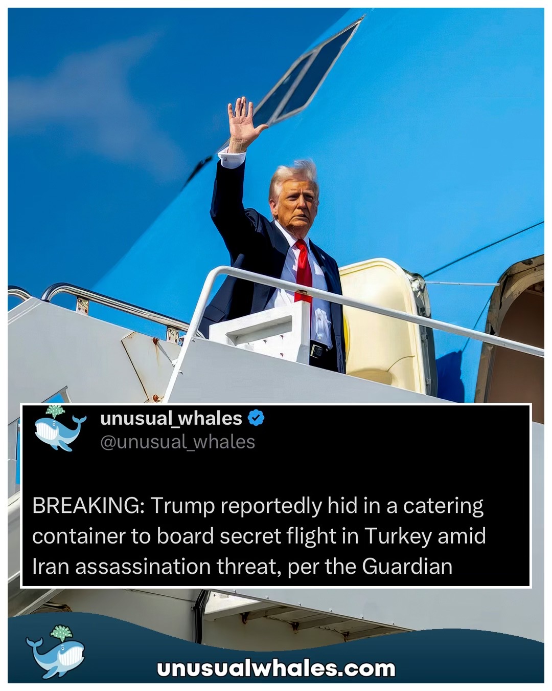 @Unusual Whales