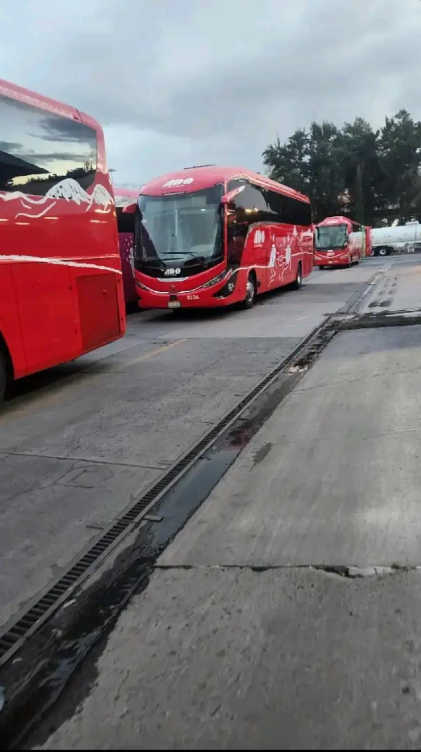 @Busologia Veracruzana 🍀🚍