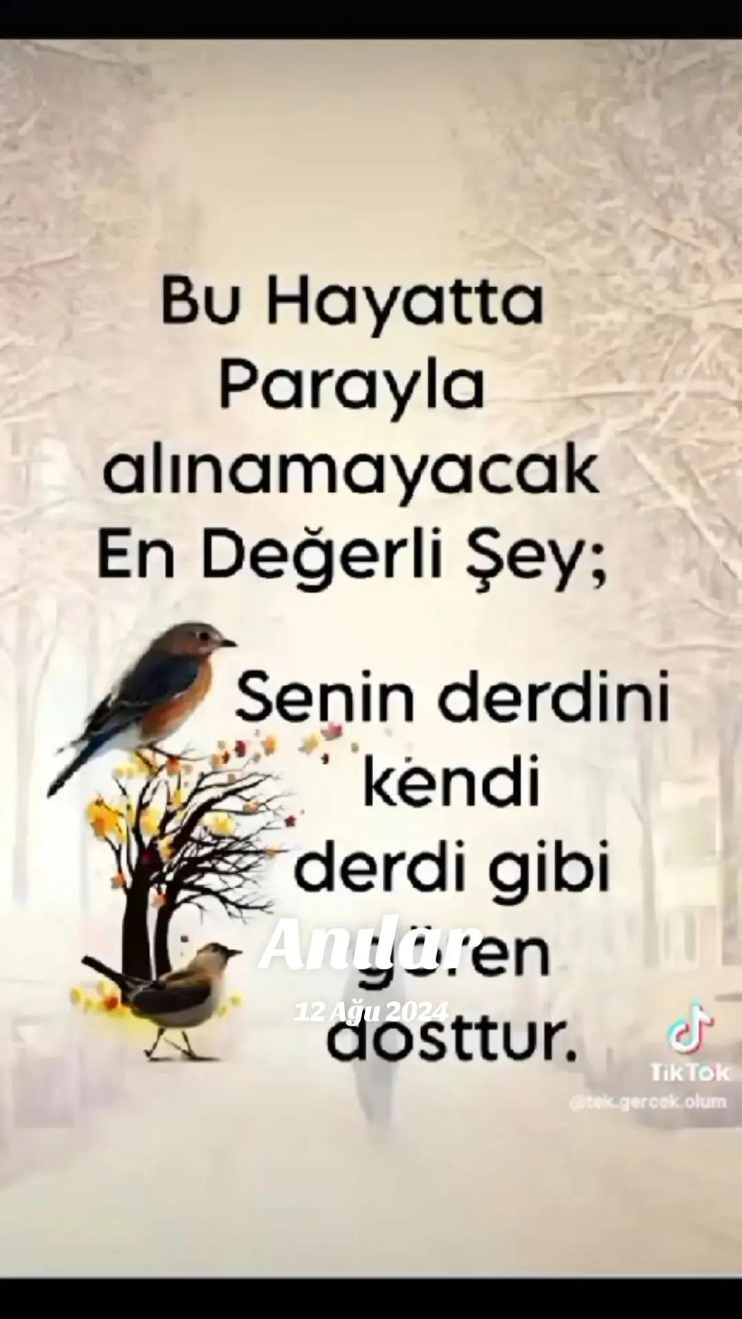 @Senol Ceylan740