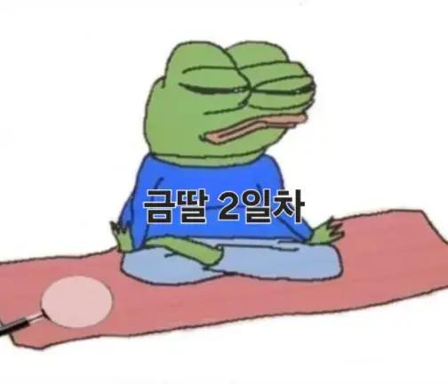@금딸 챌린지