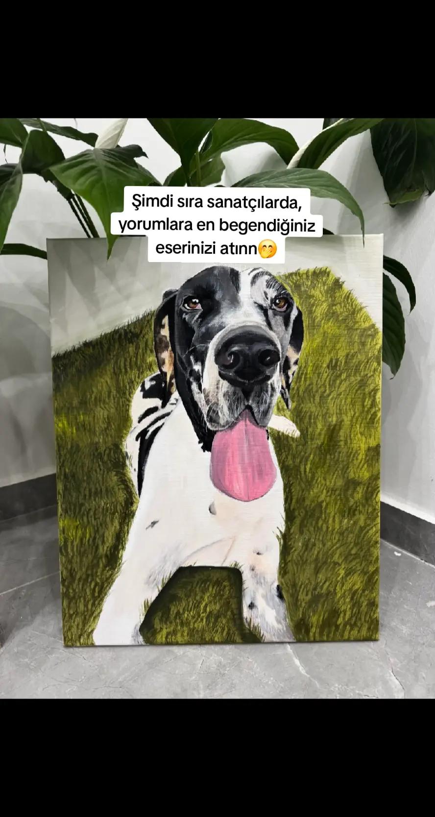 @secil.art