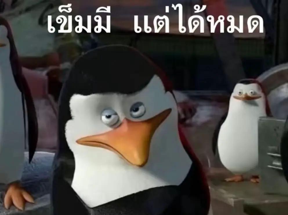 @MBT 🕊