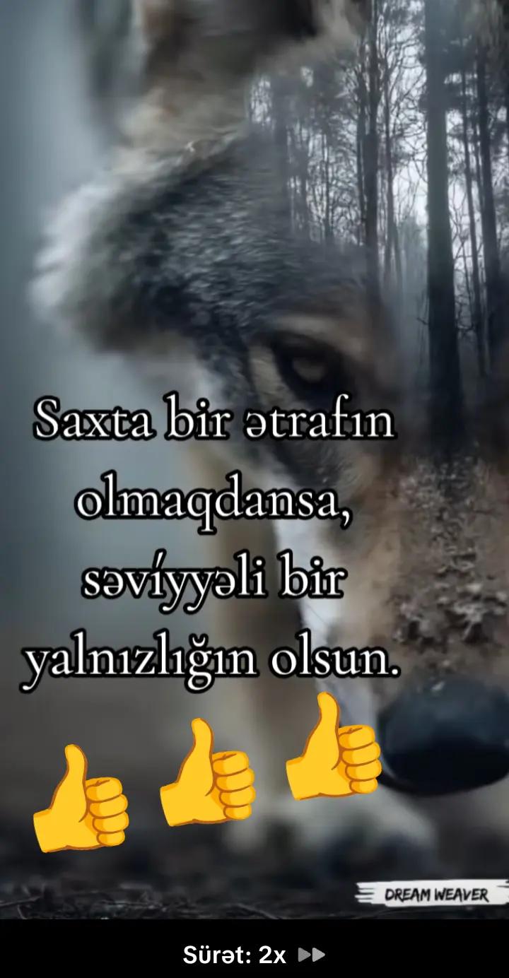 @paxmel molla 111
